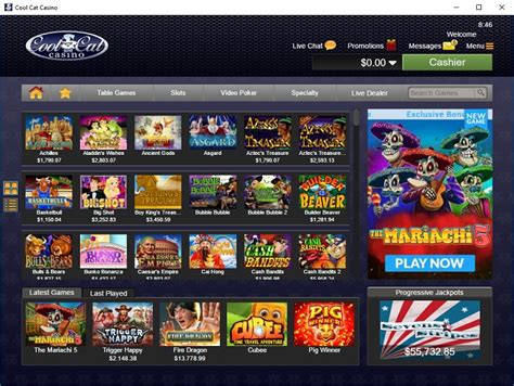 cool cat casino|cool cat casino download.